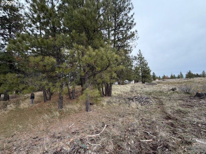 Primary listing photo, 210 Pine St St, Roosevelt, WA, 99356