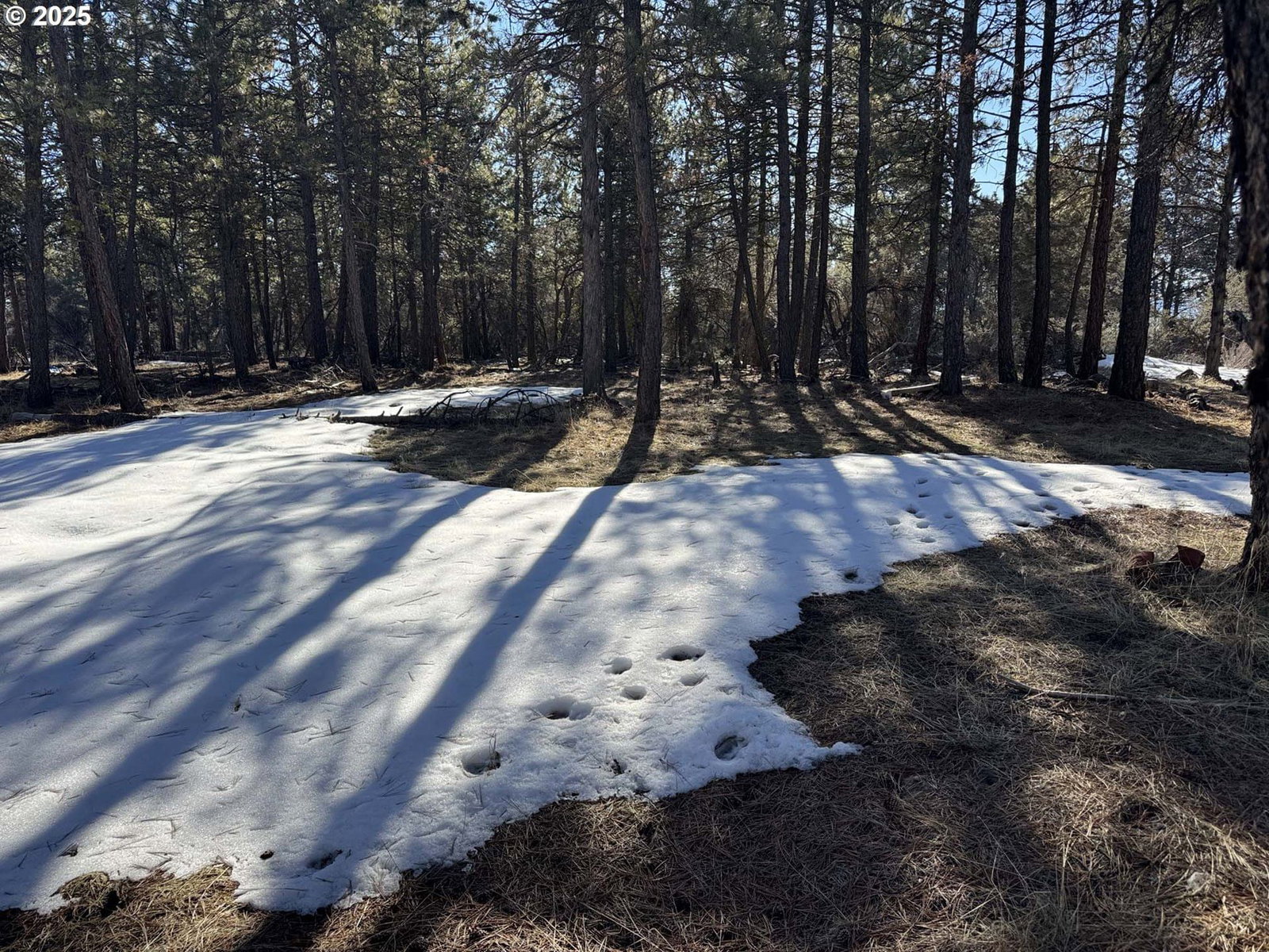 Primary listing photo, Golden Eagle DR #30, Bonanza, OR, 97623