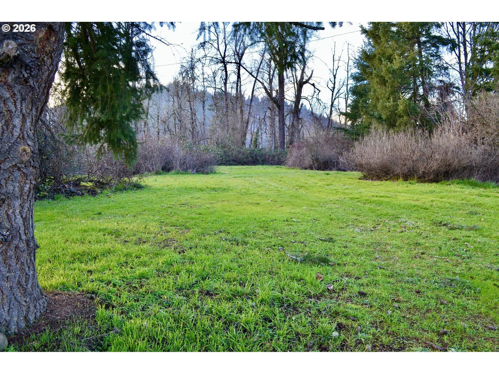 Primary listing photo, 78412 SNAUER LN, Cottage Grove, OR, 97424
