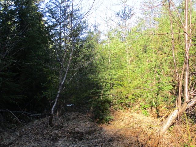 Listing photo 1 of 1