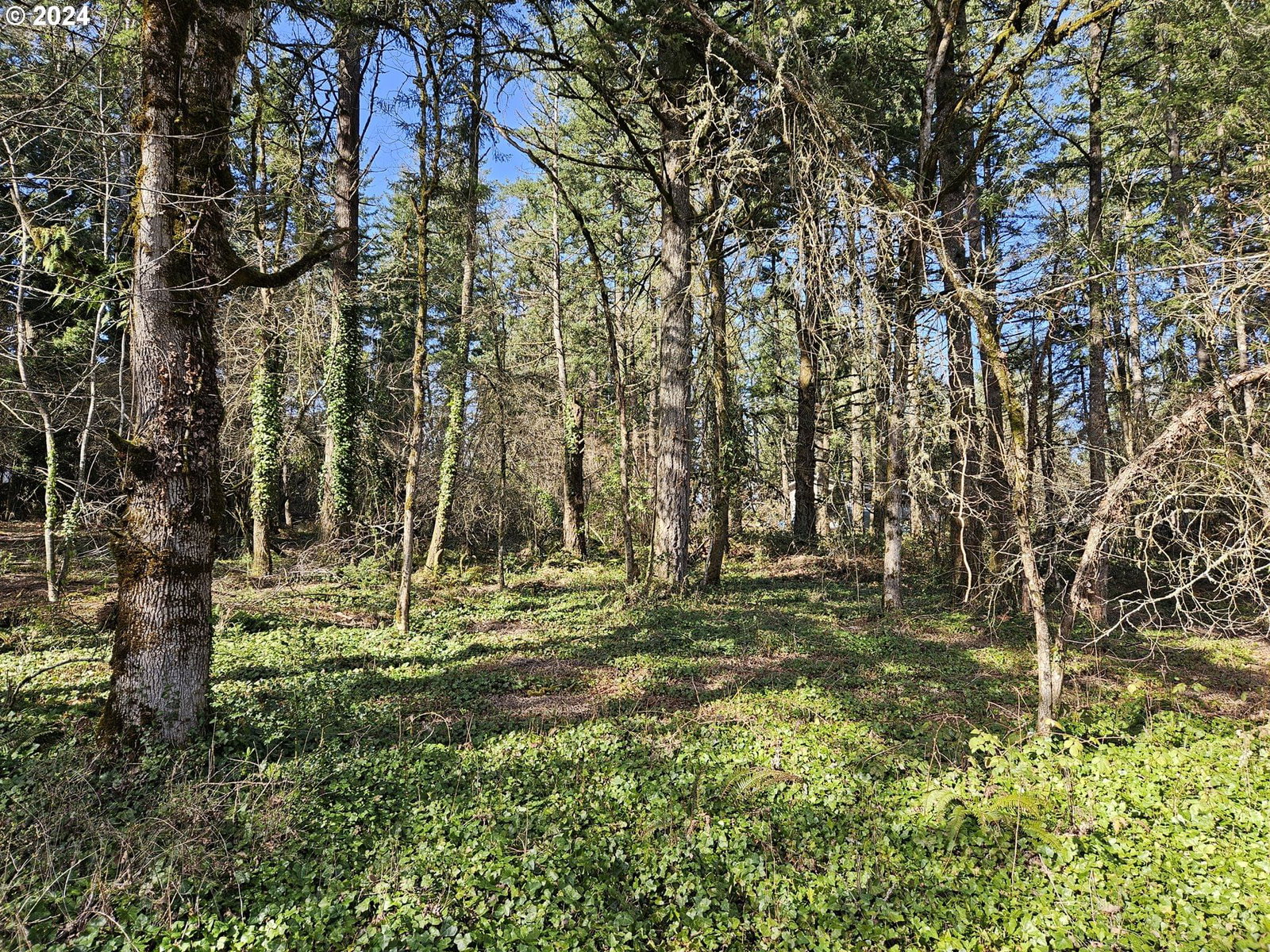 Listing photo 1 of 1