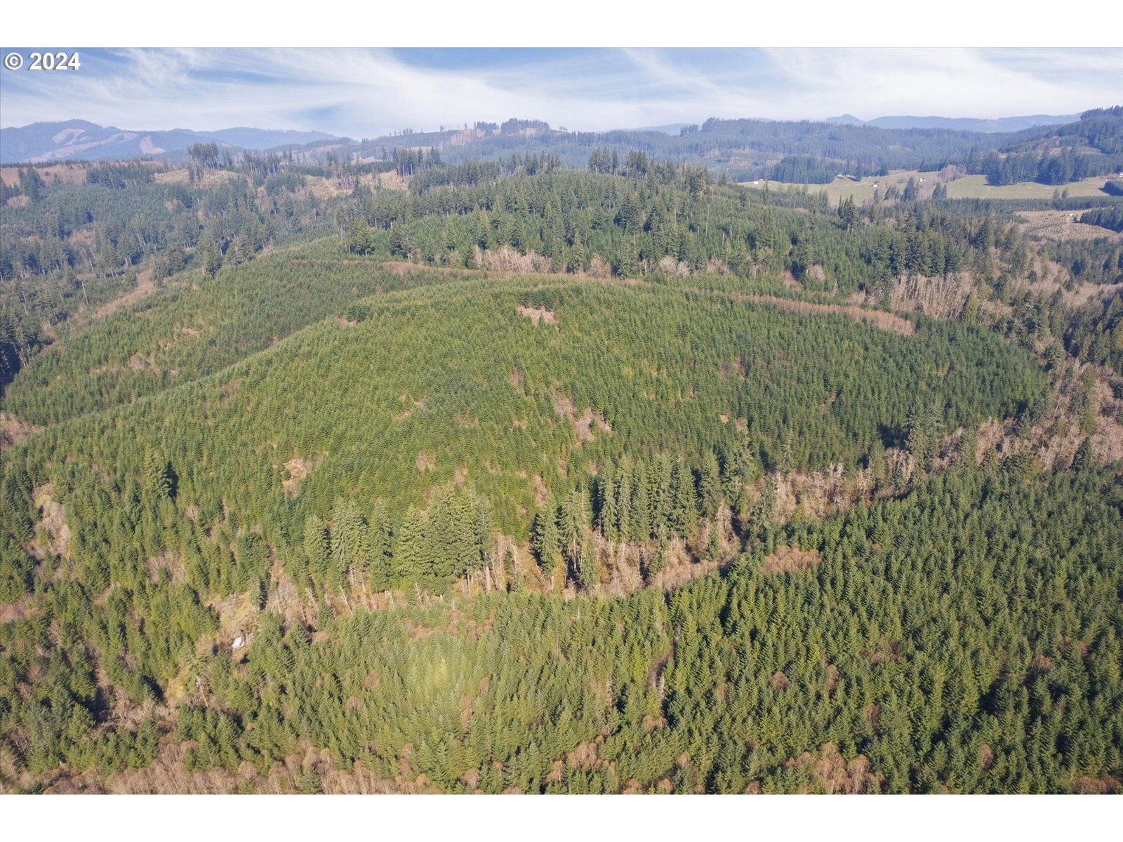Listing photo 1 of 1