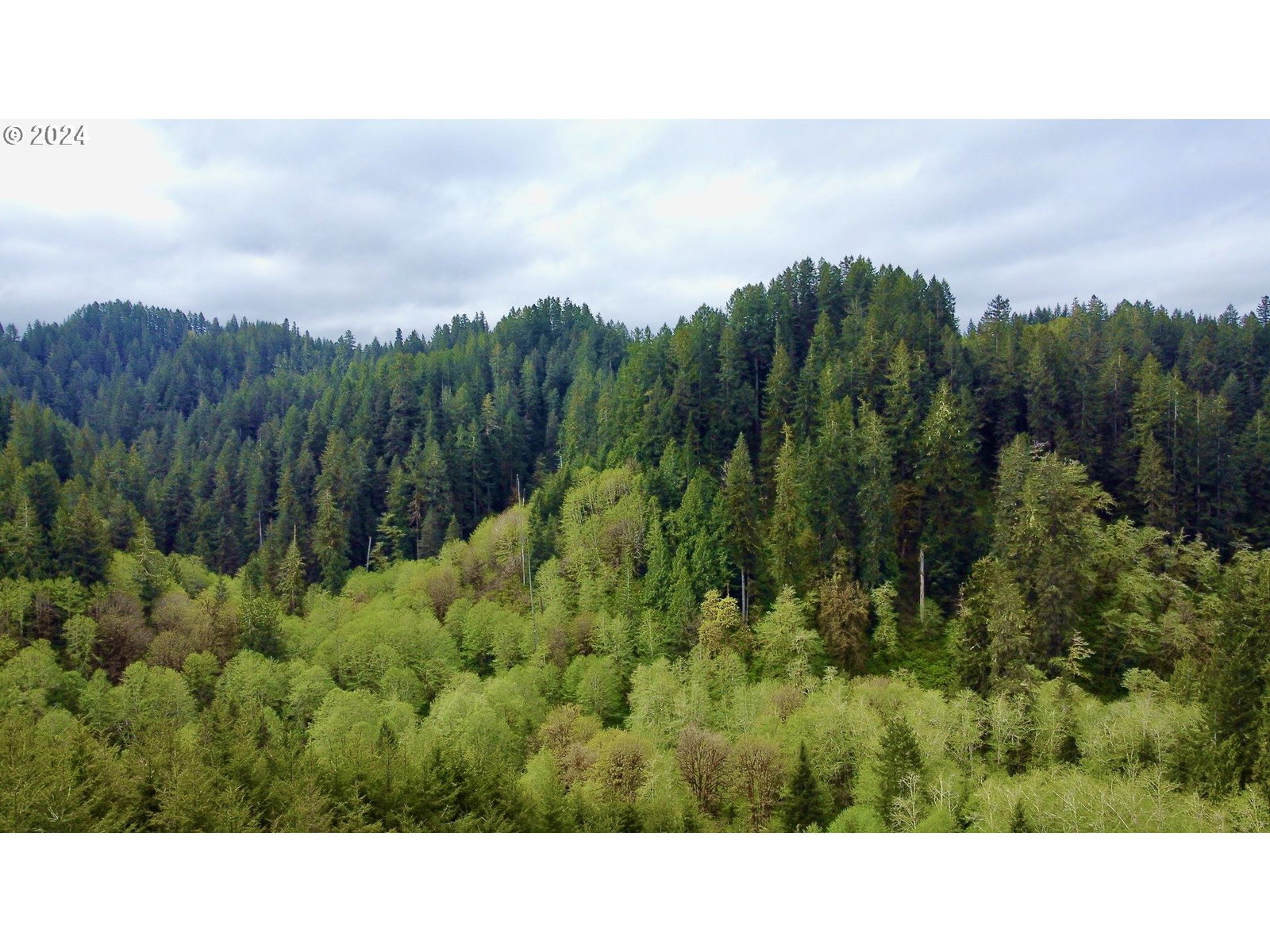 Primary listing photo, 18-10-00-00-01300500, Mapleton, OR, 97453