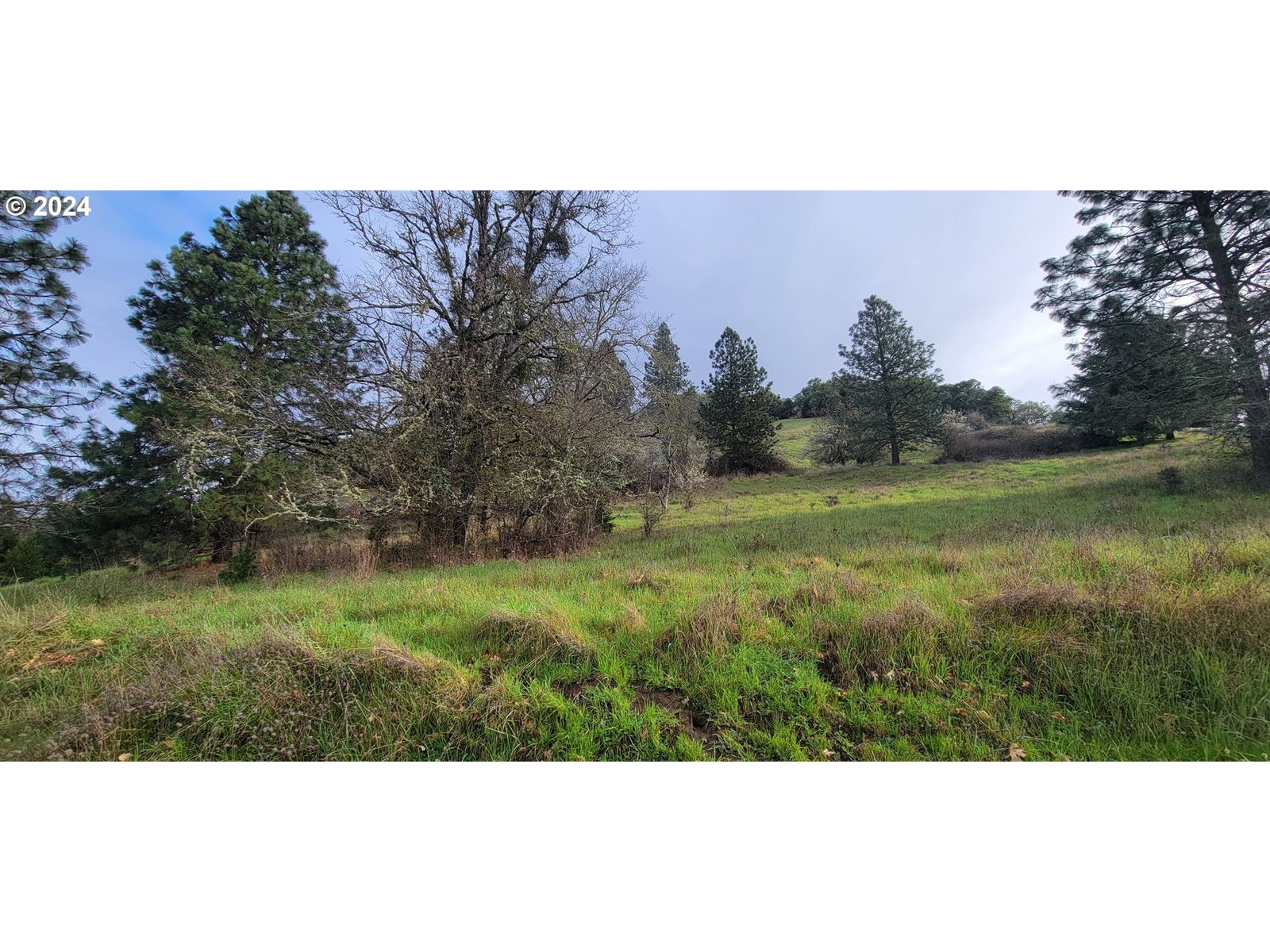 Listing photo 1 of 1