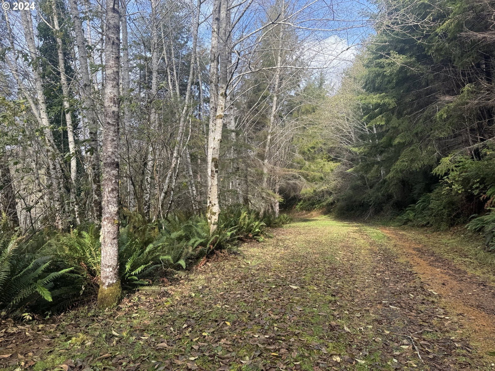 Listing photo 1 of 1