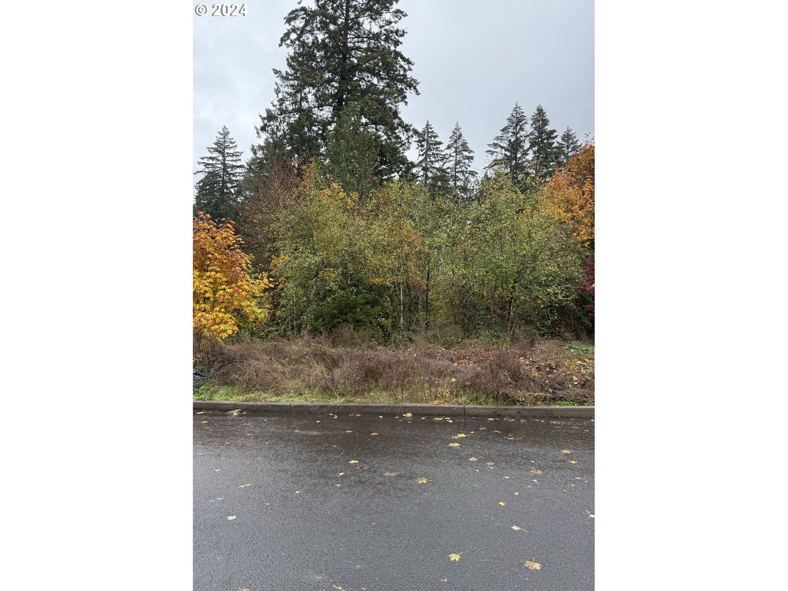 Listing photo 1 of 1