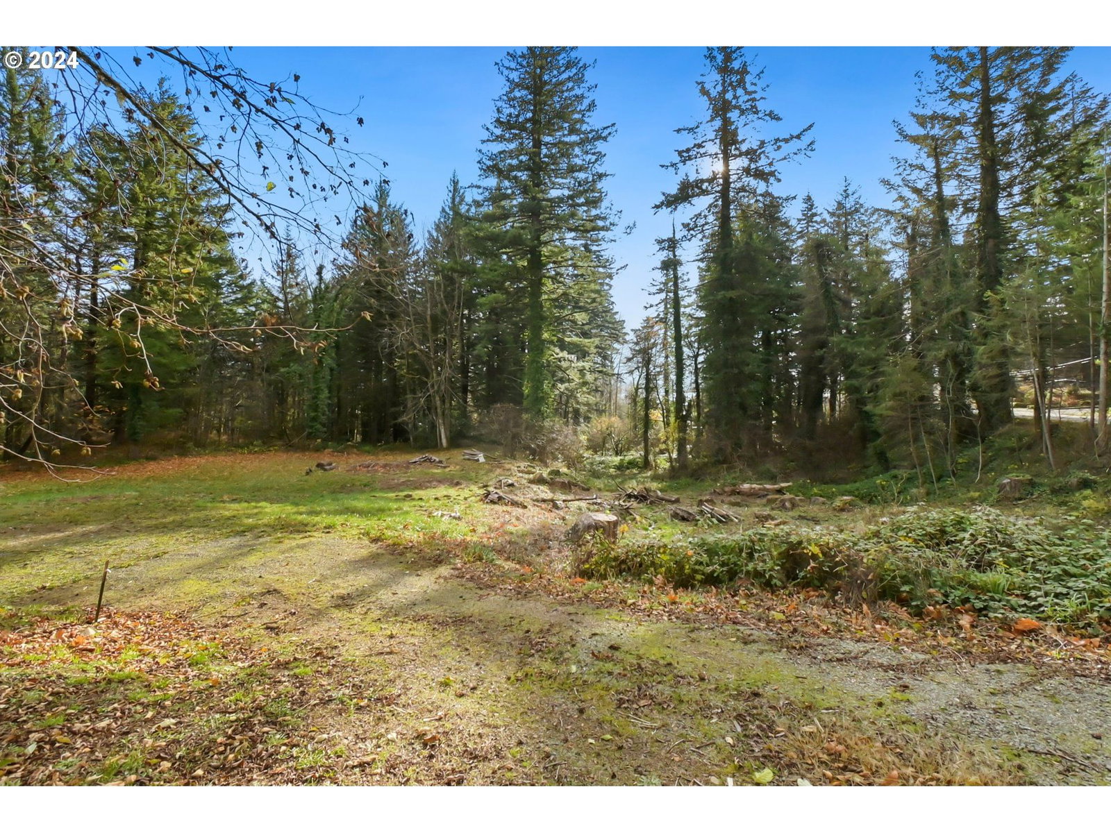 Listing photo 1 of 1