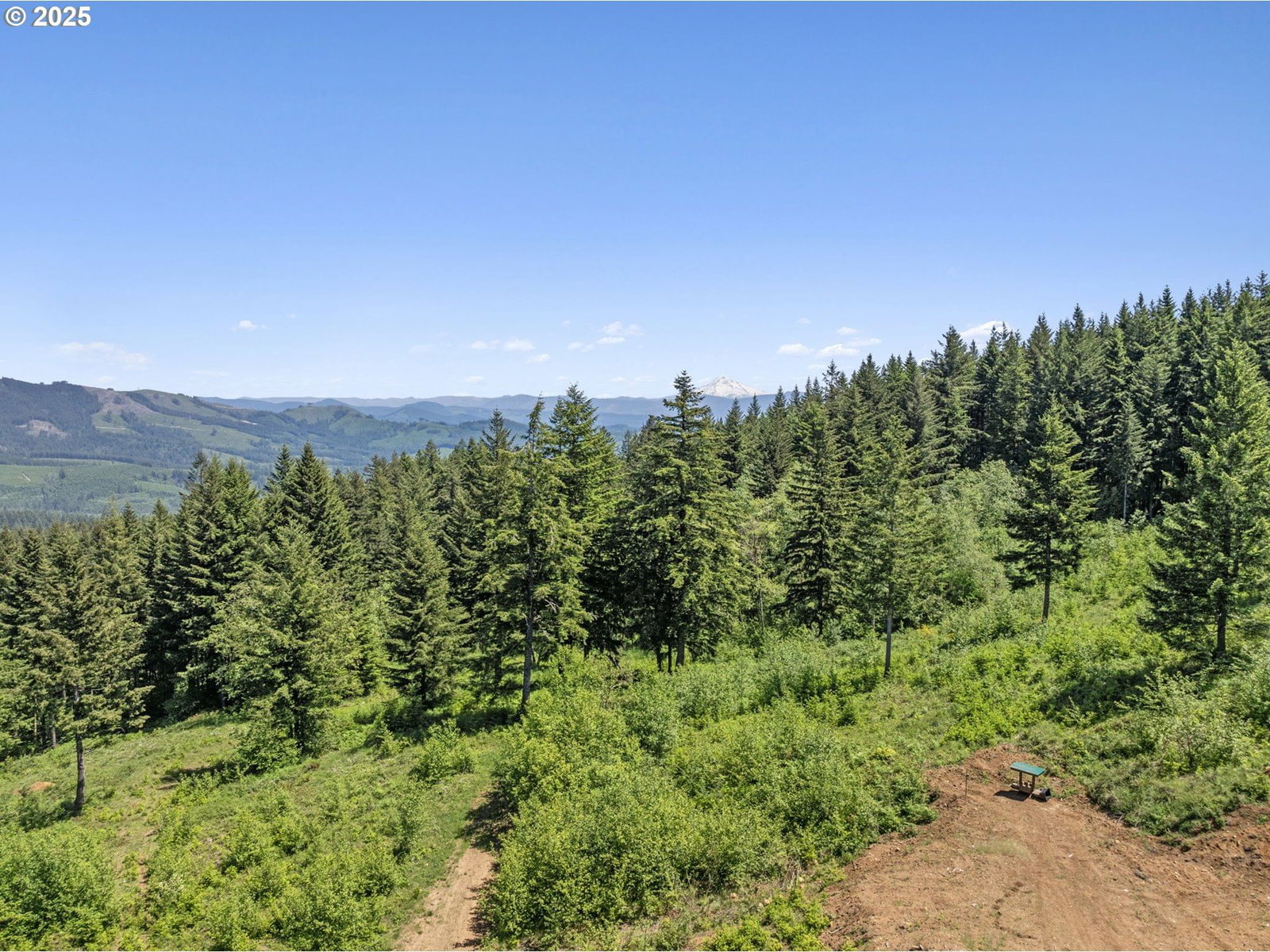Primary listing photo, 0 NE 298th CT, Camas, WA, 98607