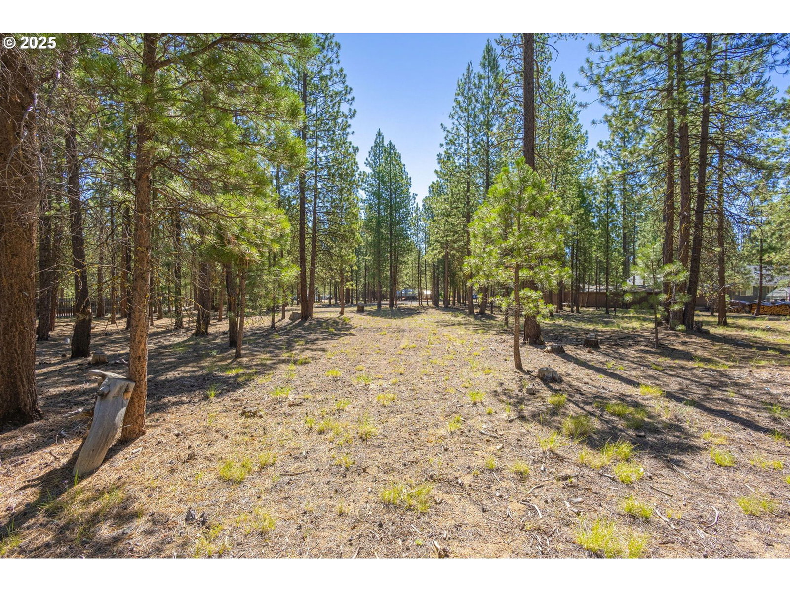 Listing photo 1 of 1