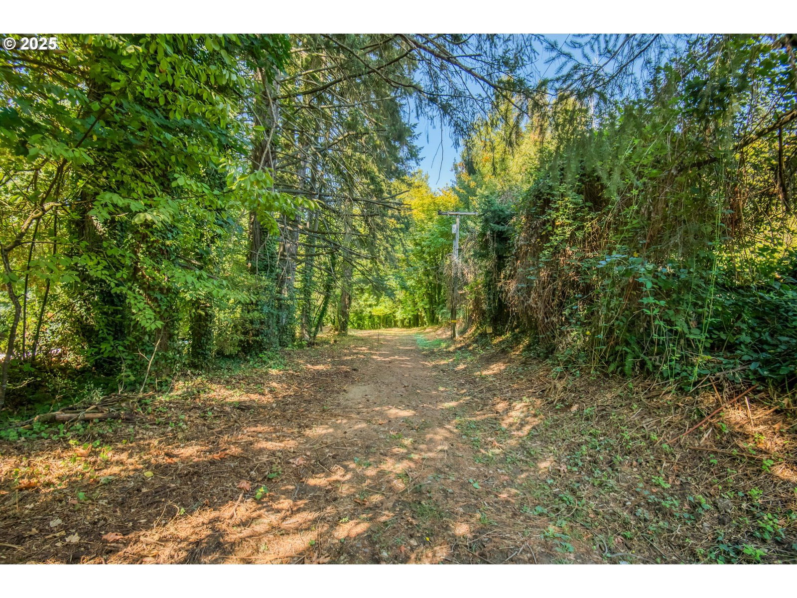 Primary listing photo, 0 SE Palmer LN, Dayton, OR, 97114