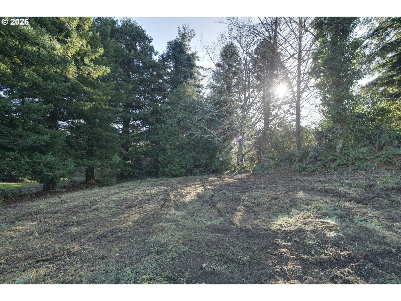 Listing photo 1 of 1