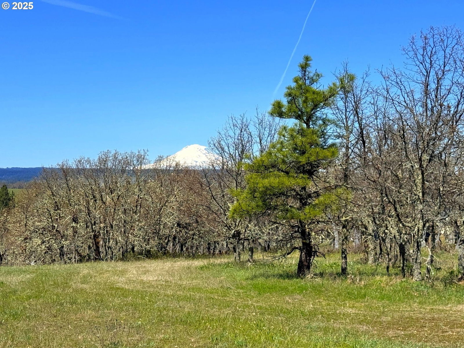Primary listing photo, Centerville Hwy Lot3, Lyle, WA, 98635