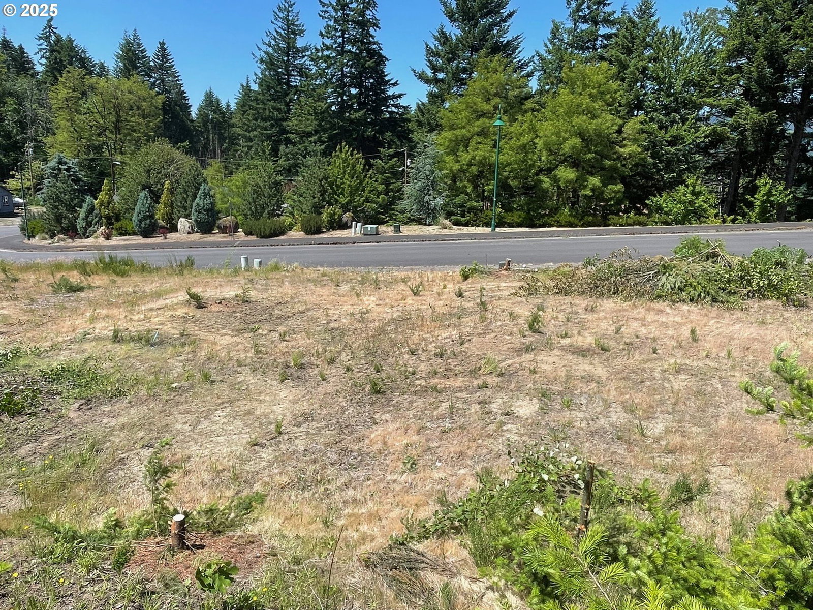 Listing photo 1 of 1