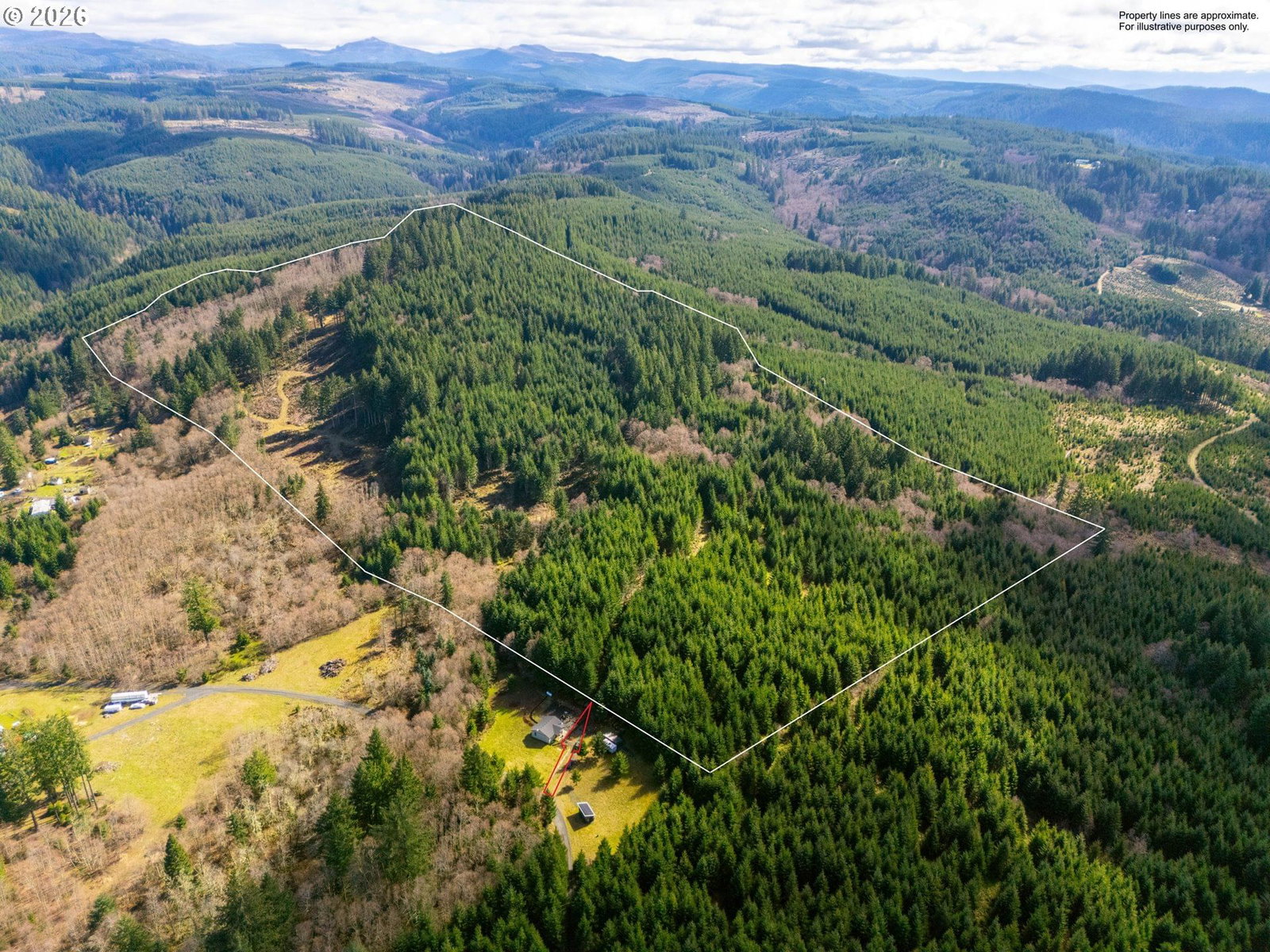 Primary listing photo, Phelps Mountain LN #TL1200, Silverton, OR, 97381