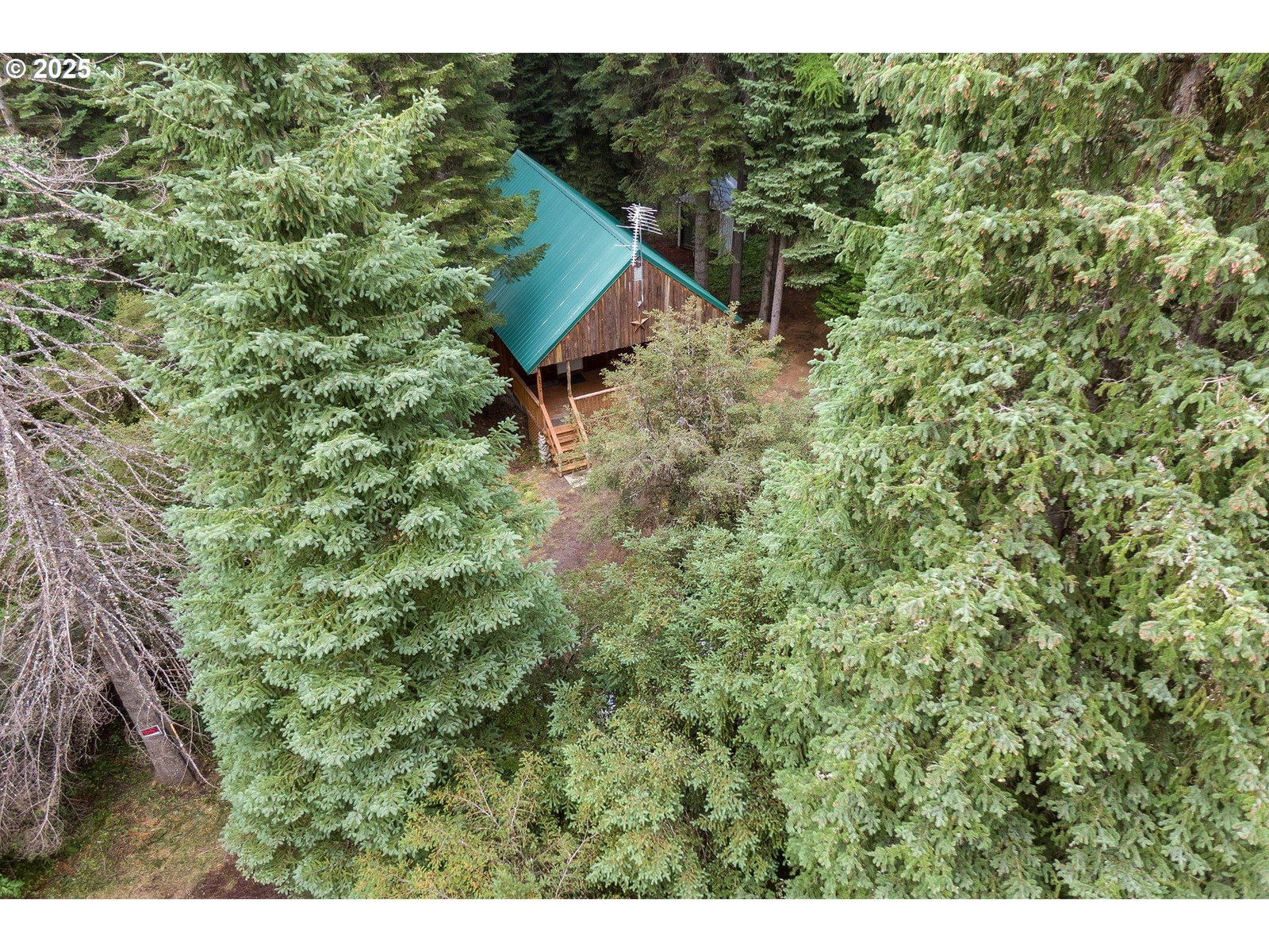 Listing photo 1 of 1