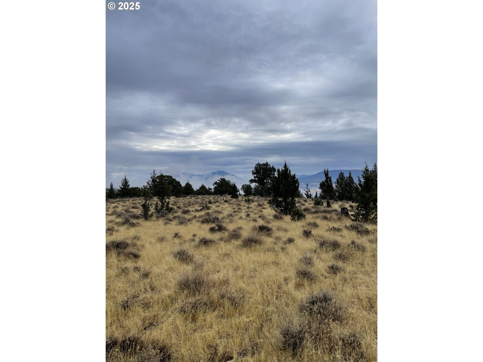 Listing photo 1 of 6