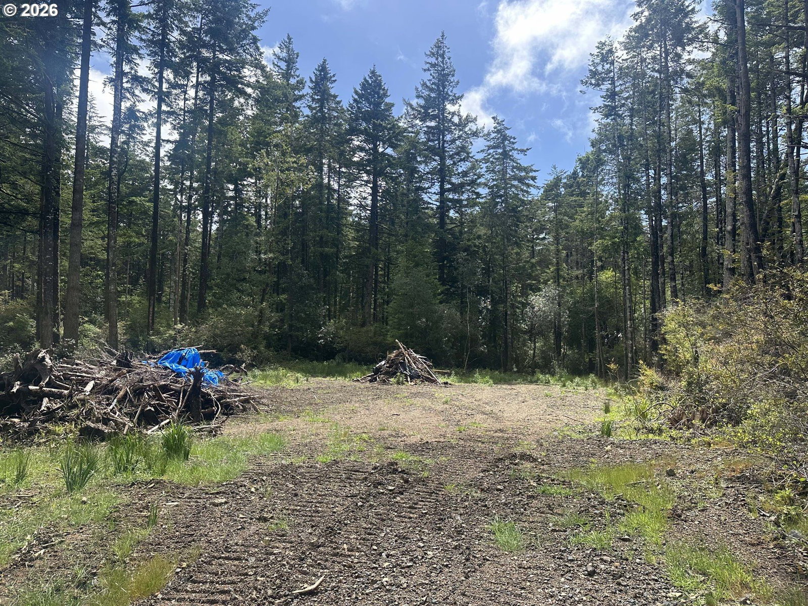 Listing photo 1 of 6