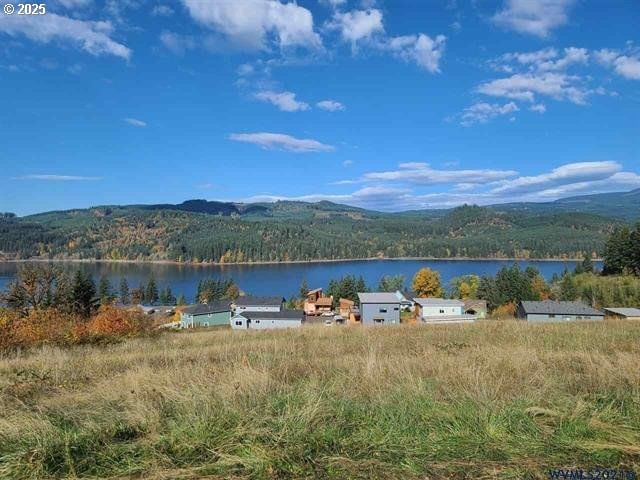 Primary listing photo, Viewpoint Lane, Foster, OR, 97345