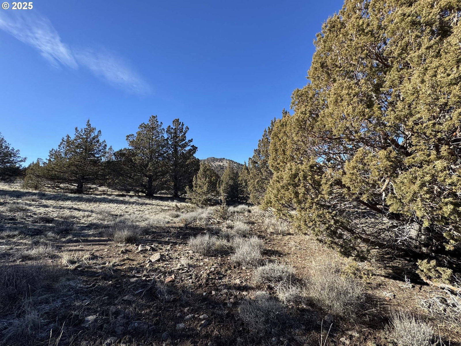 Listing photo 1 of 1