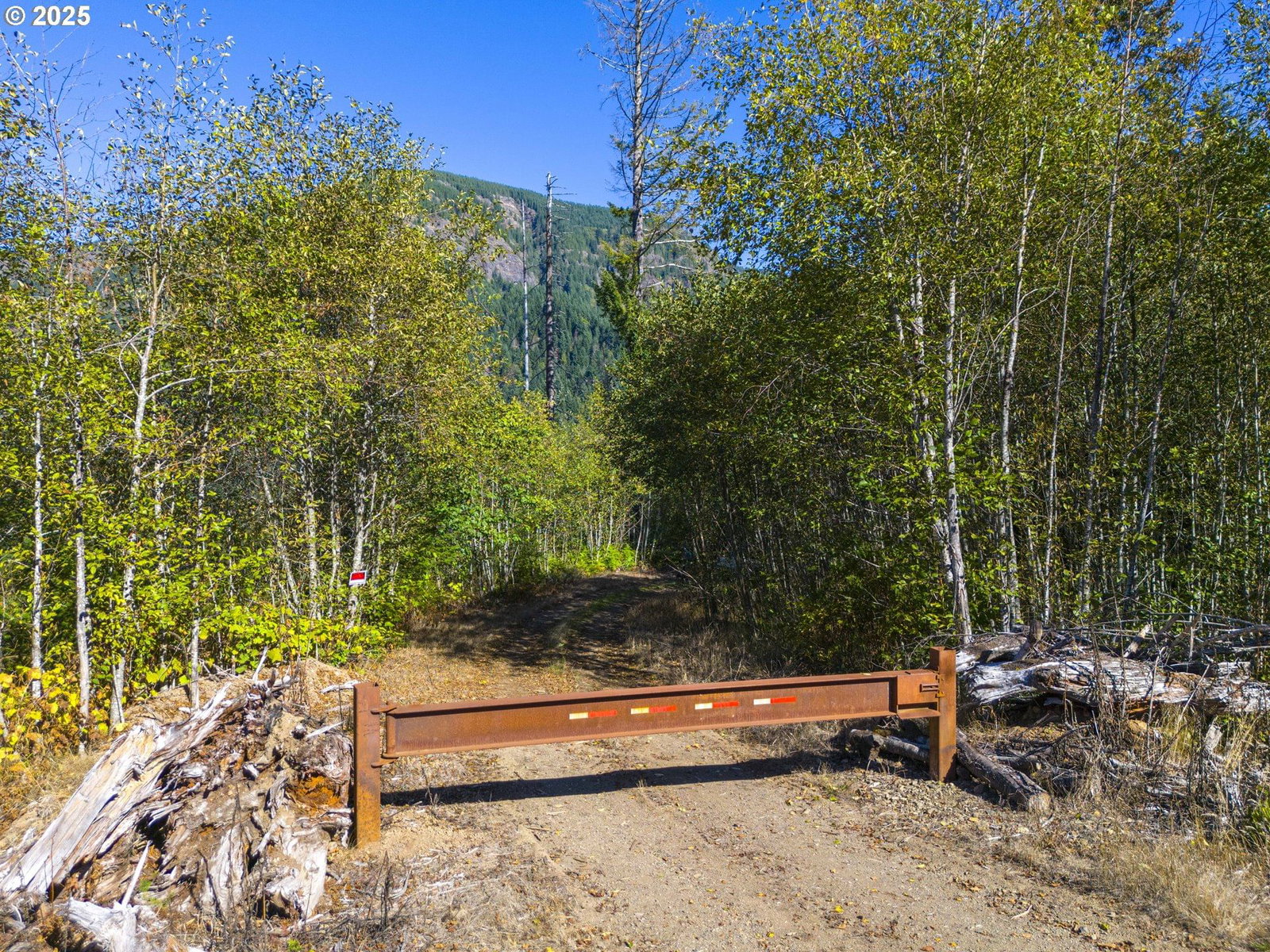 Listing photo 1 of 1