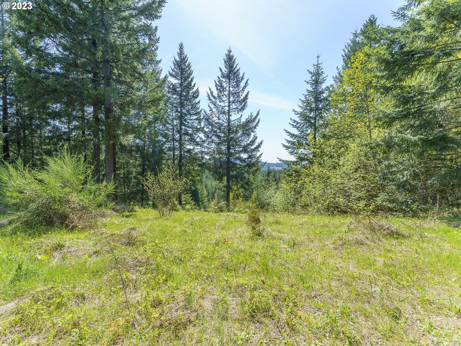 Listing photo 1 of 1