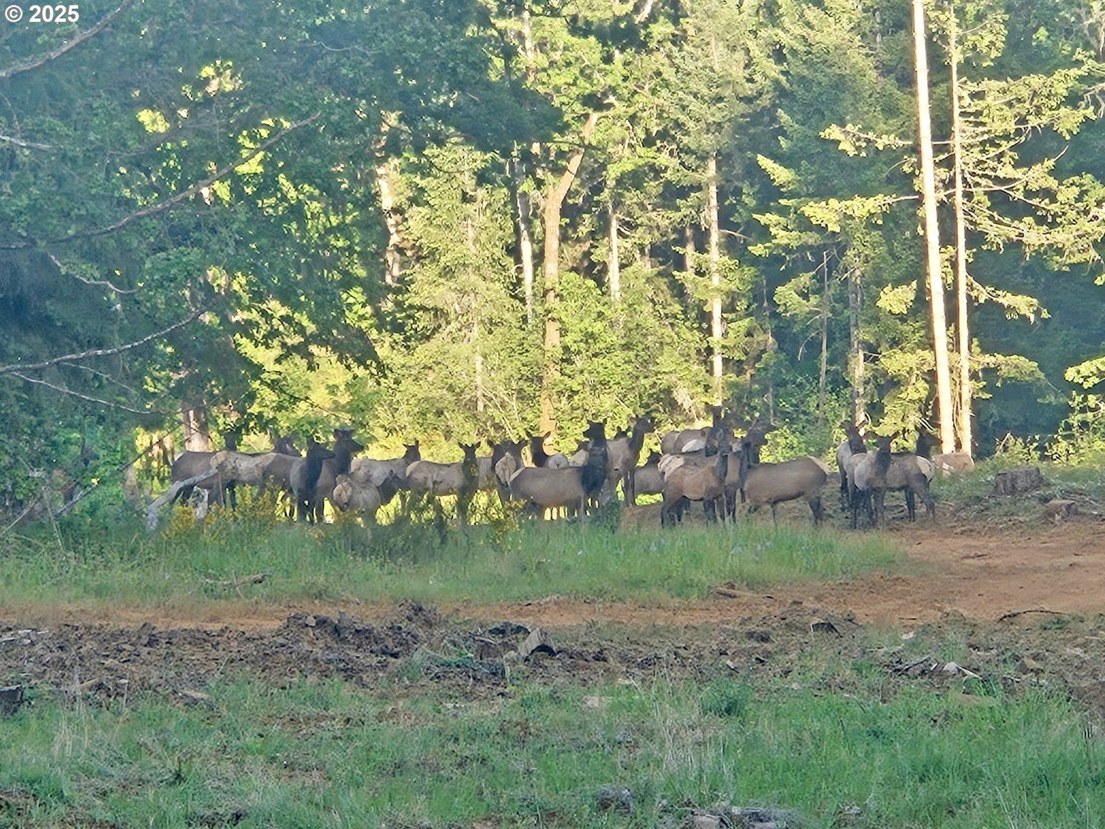 Listing photo 1 of 1