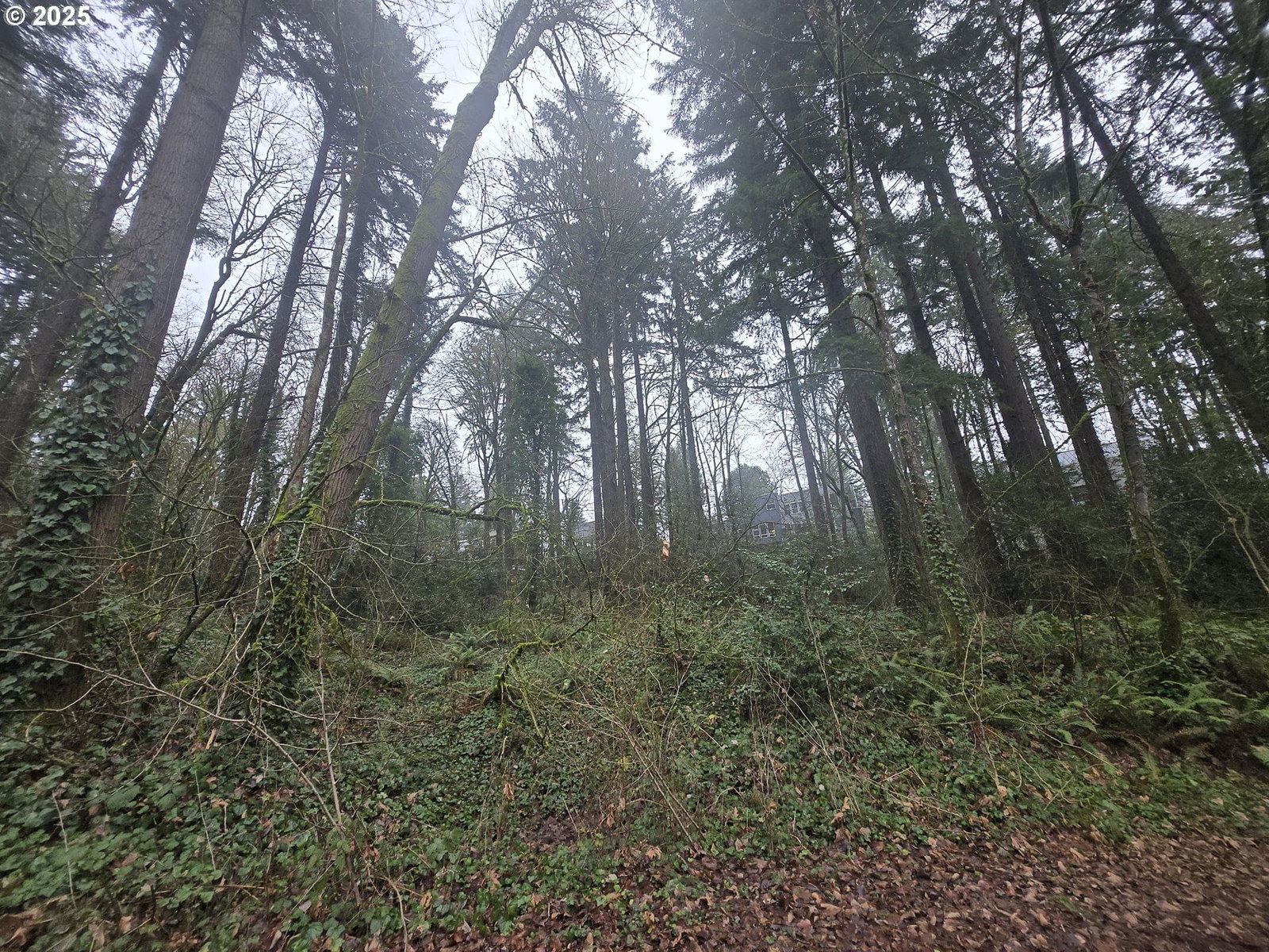 Listing photo 1 of 1