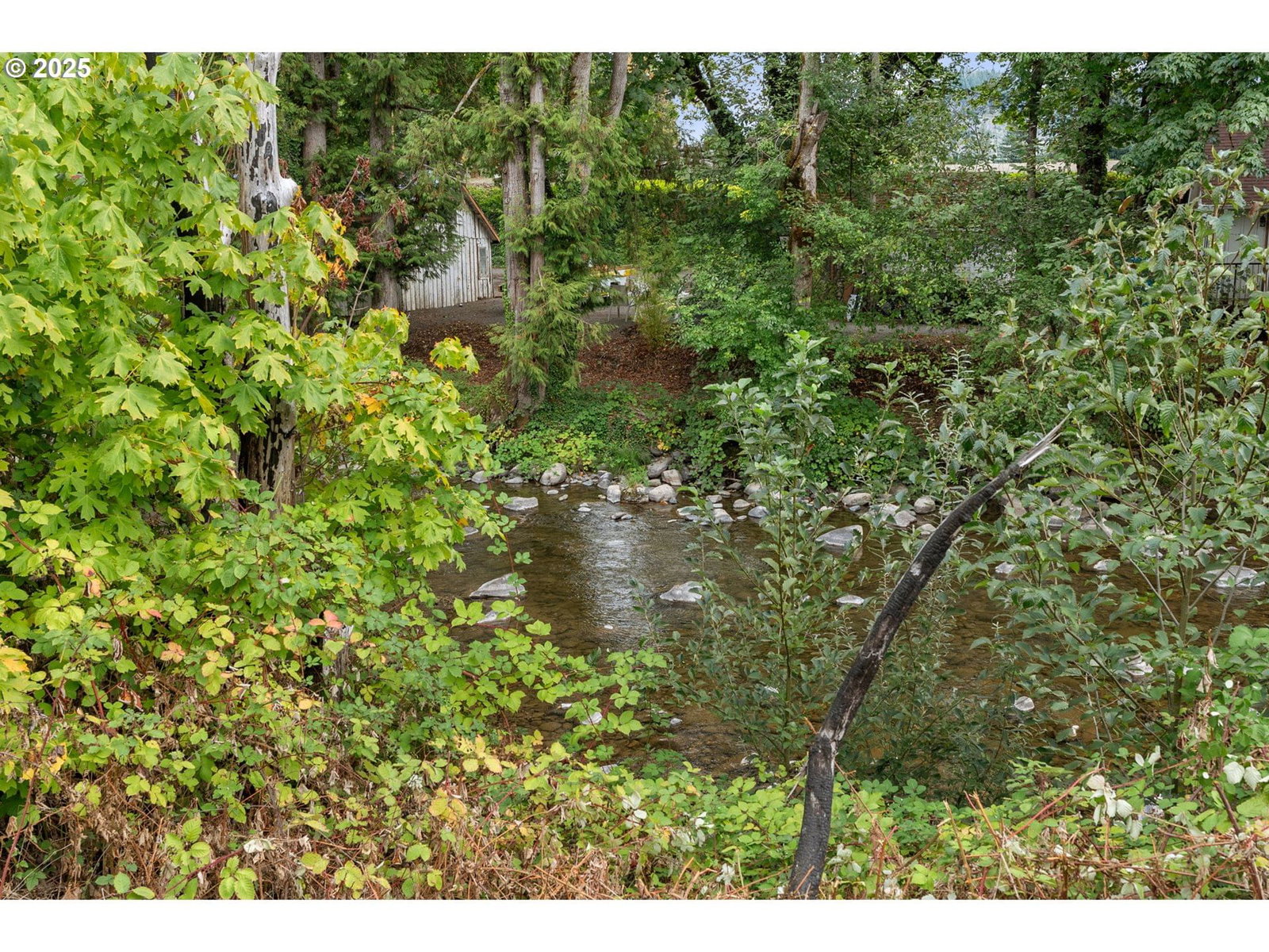 Primary listing photo, 45678 N GATE CREEK RD, Vida, OR, 97488