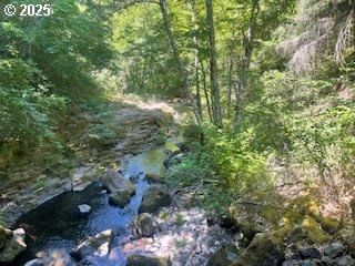 Primary listing photo, Oak Ridge RD, White Salmon, WA, 98672