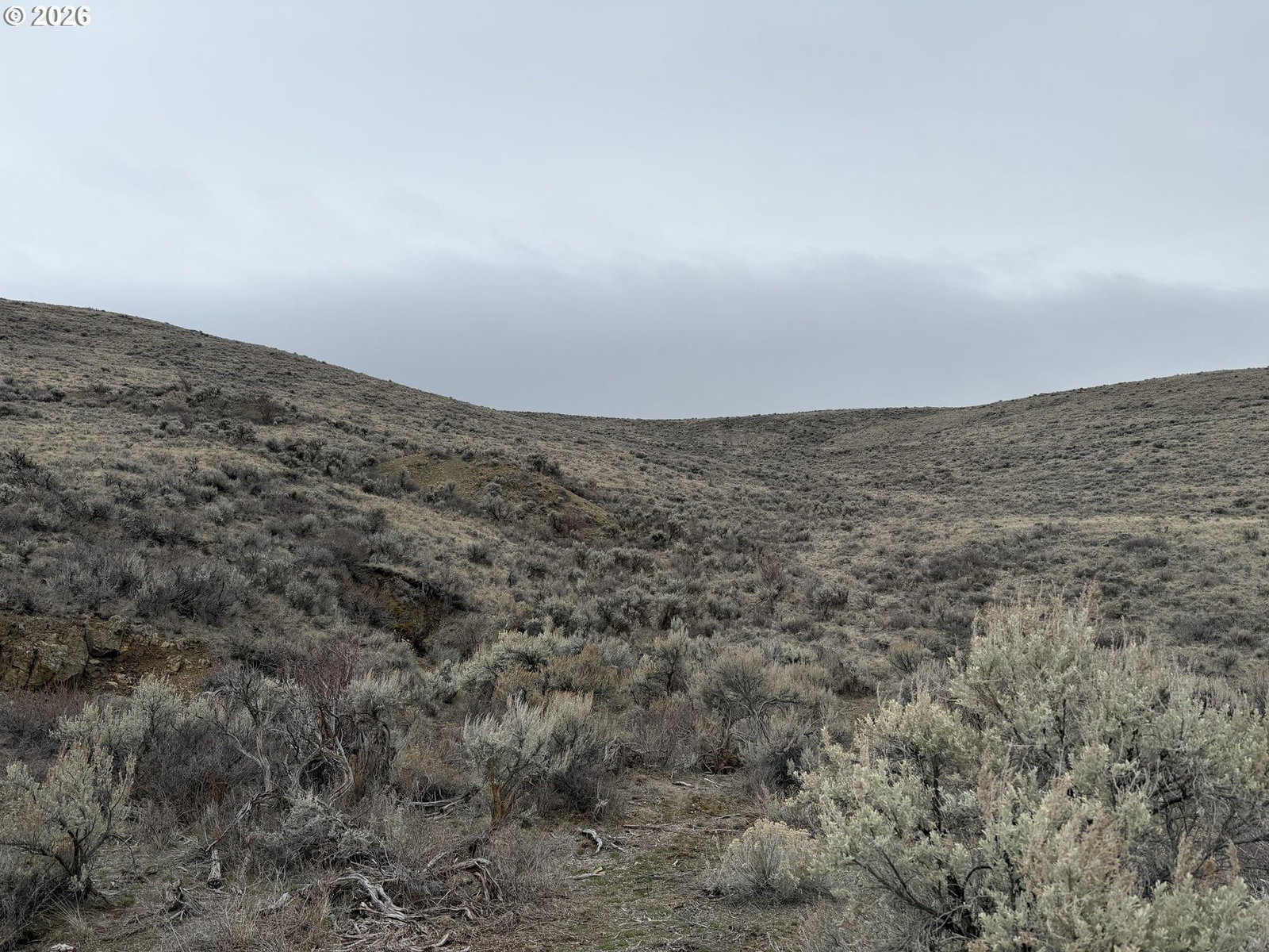 Primary listing photo, Williams Wall, Baker City, OR, 97814