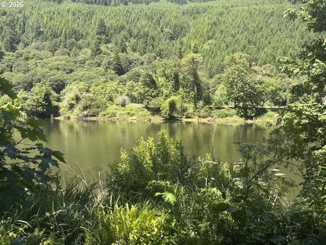 Primary listing photo, Sweet Creek Road, Mapleton, OR, 97453